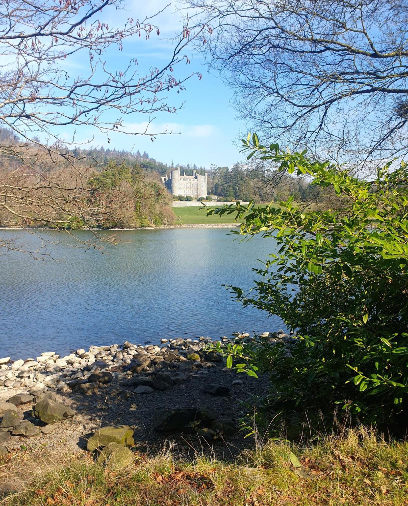 Whitehill Cottage Castlewellan Exterior foto